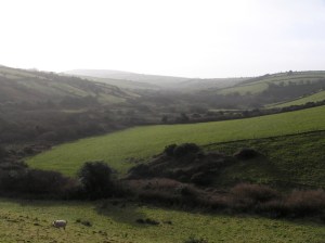 Rural west Cork countryside