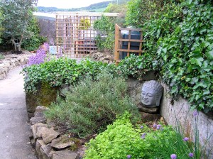 Herb garden viewed from back door
