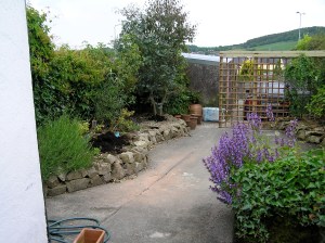 View of garden from back kitchen door